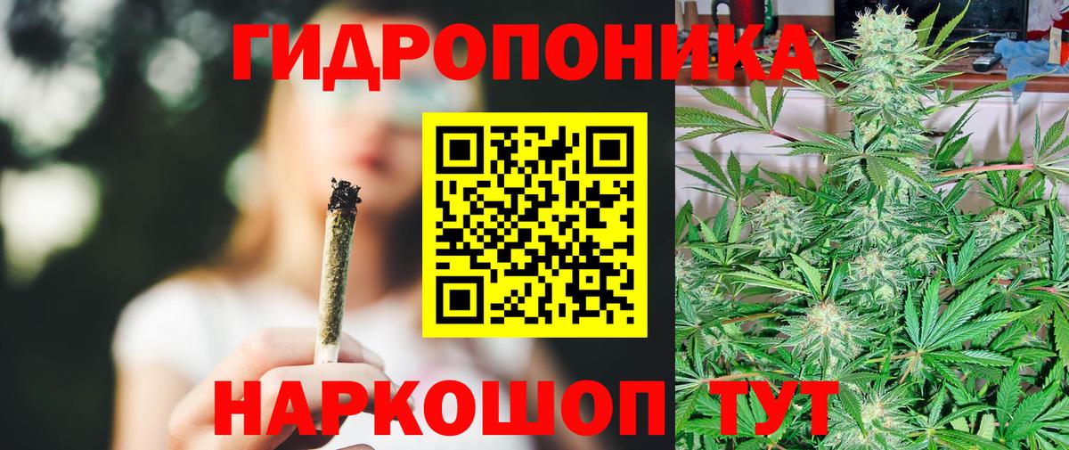 Конопля план  Канабис конопля  Канабис SATIVA & INDICA  Шишки марихуана AK-47  Соль-Илецк  Вход с VPN 